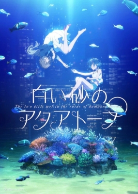 The Ancient Magus' Bride OVA - Mahoutsukai no Yome OVA: Nishi no Shounen to  Seiran no Kishi HD English Subbed - Kawaiifu