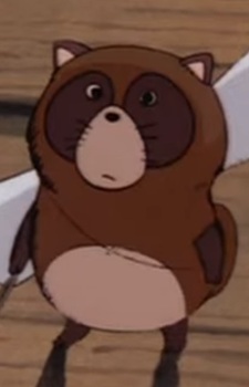 Child Tanuki